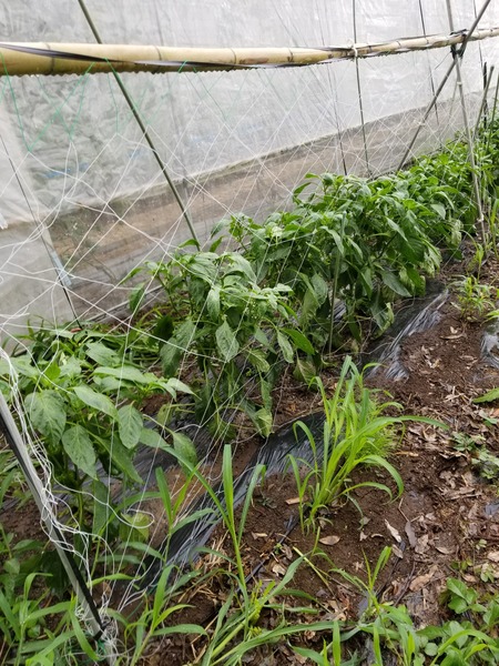 20190702_084354-1620x2160