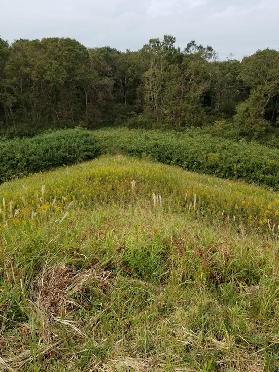 20191027_115741-1620x2160