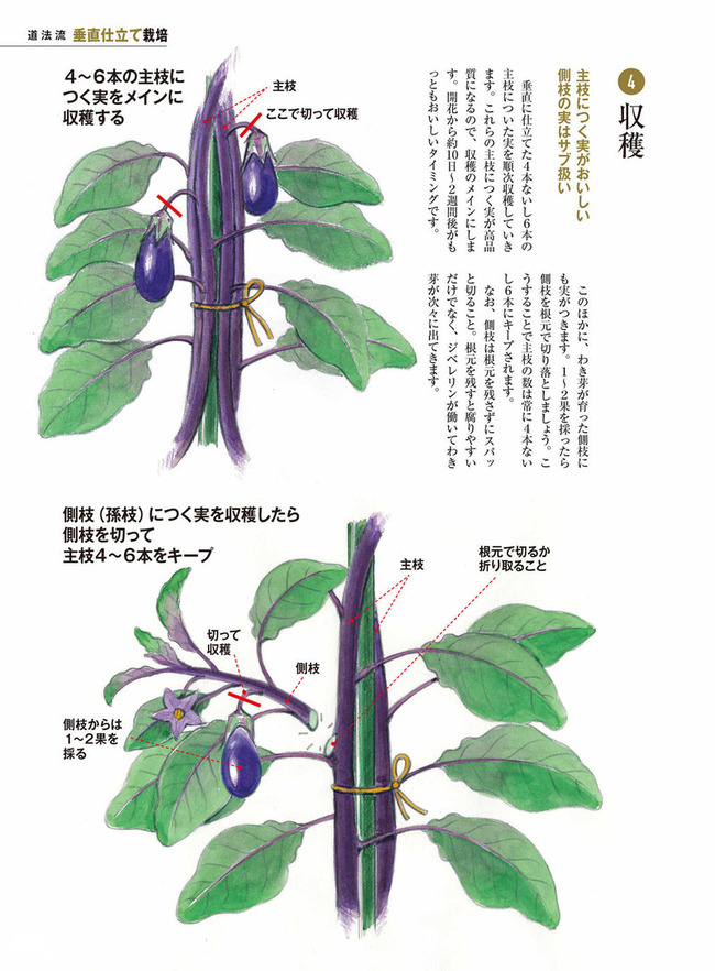 o1415192014191324697