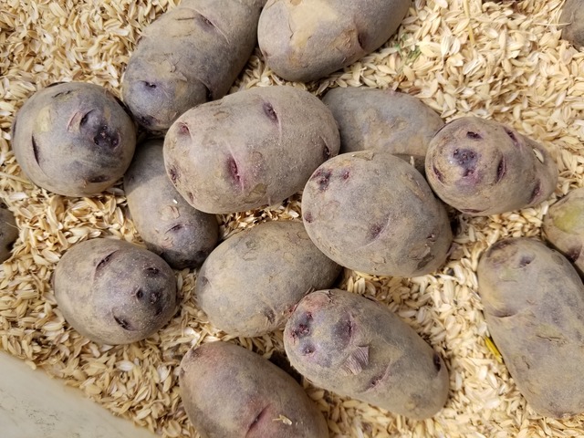 20200229_111011-3024x2268