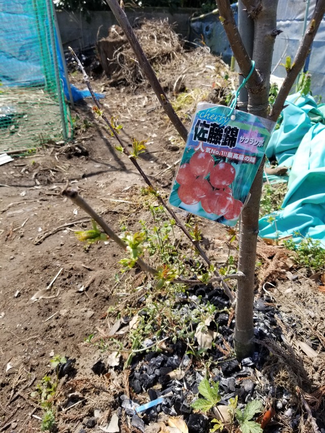 20240413_111313_copy_2268x3024