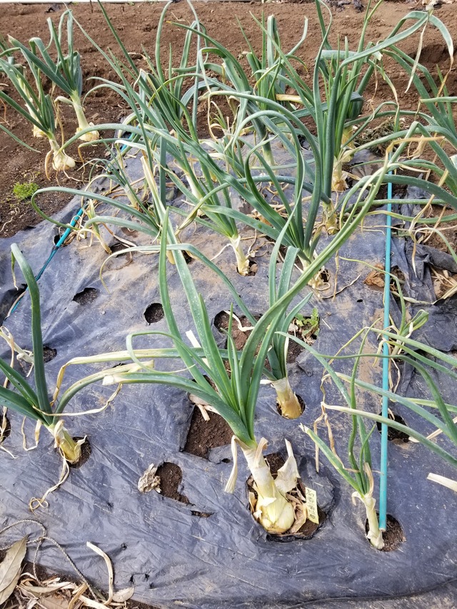 20240220_091618_copy_2268x3024