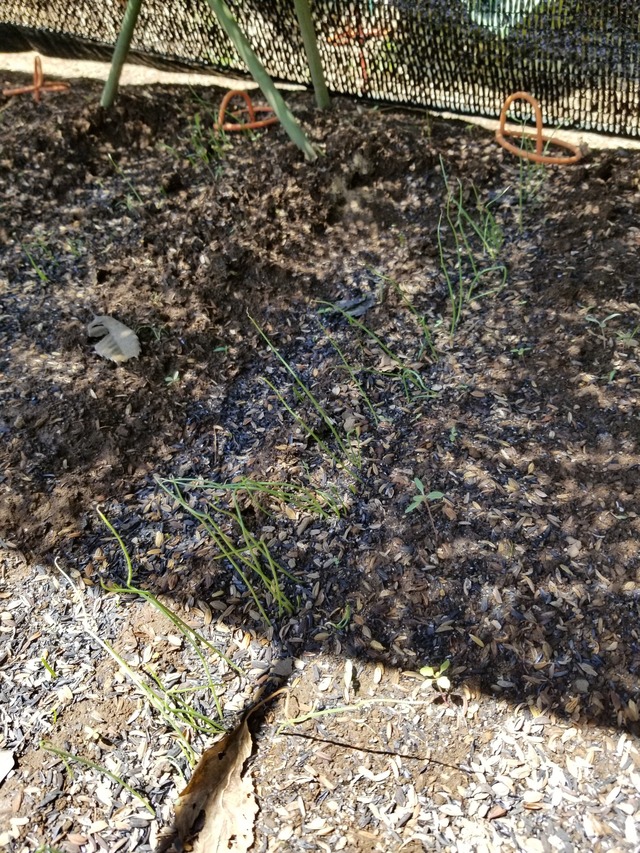 20230812_105404_copy_1512x2016