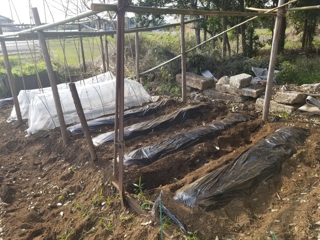 20230404_155600_copy_2016x1512