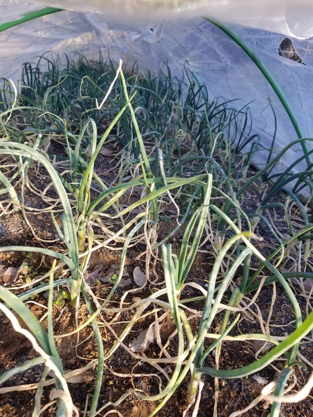 20230110_083539_copy_1512x2016