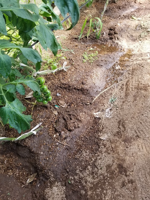 20230616_140548_copy_1512x2016