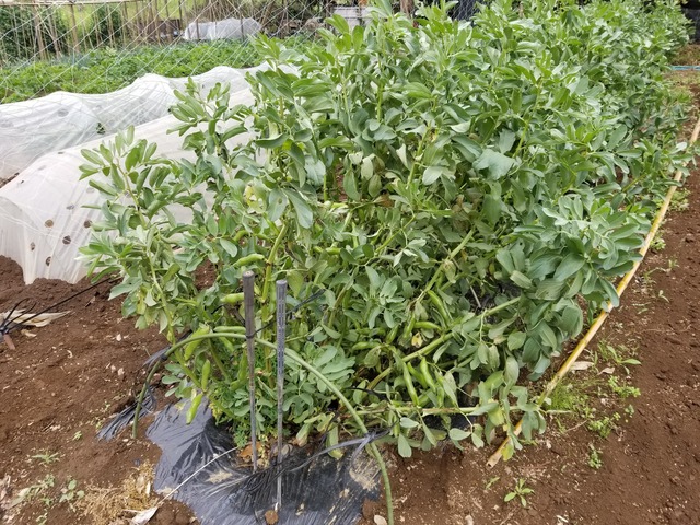 20230501_083607_copy_2016x1512