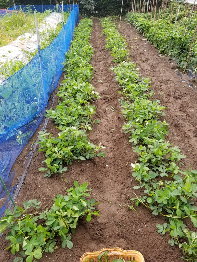 20210706_081228_copy_2268x3024