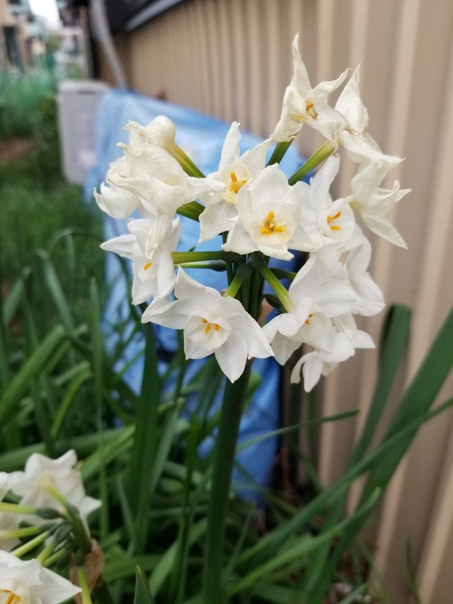 20240406_071223_copy_2268x3024