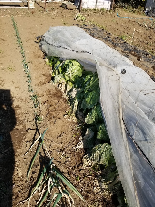 20230107_105750_copy_1512x2016