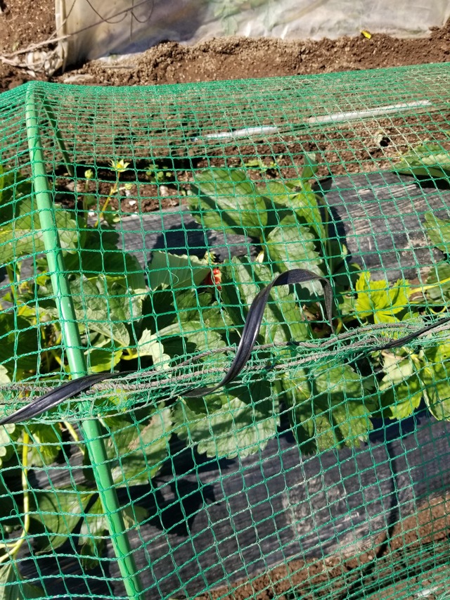 20230427_090205_copy_1512x2016