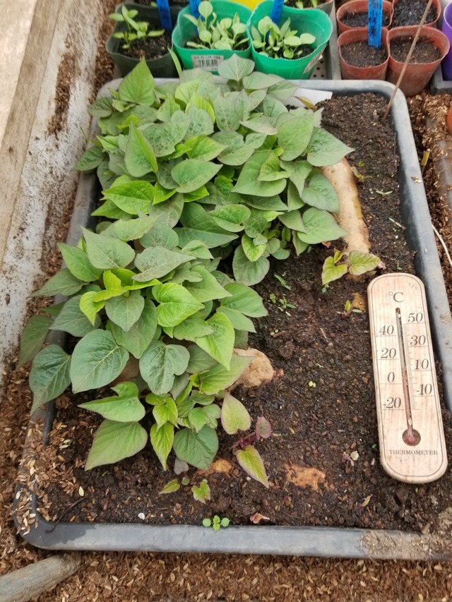 20240326_092459_copy_2268x3024