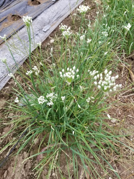 20190905_084824-1620x2160