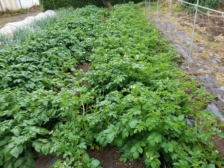 20190529_072126-2160x1620