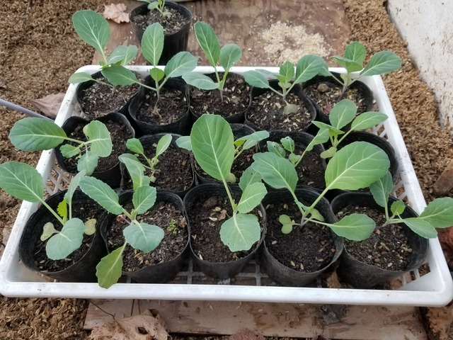 20231217_100431_copy_2016x1512