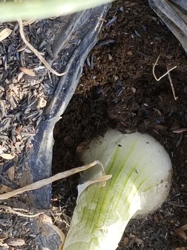 20230110_083905_copy_1512x2016