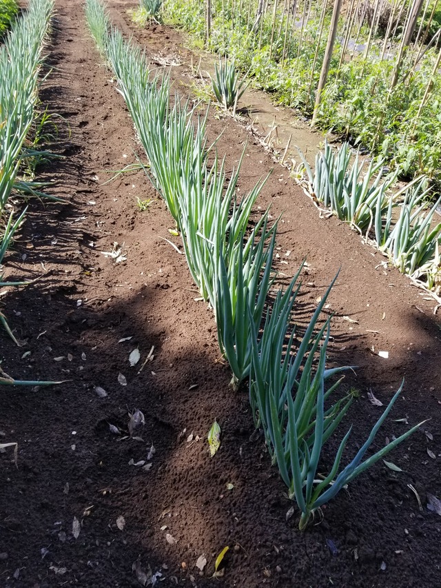 20230601_084835_copy_1512x2016