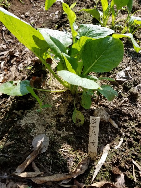 20190927_084133-1620x2160