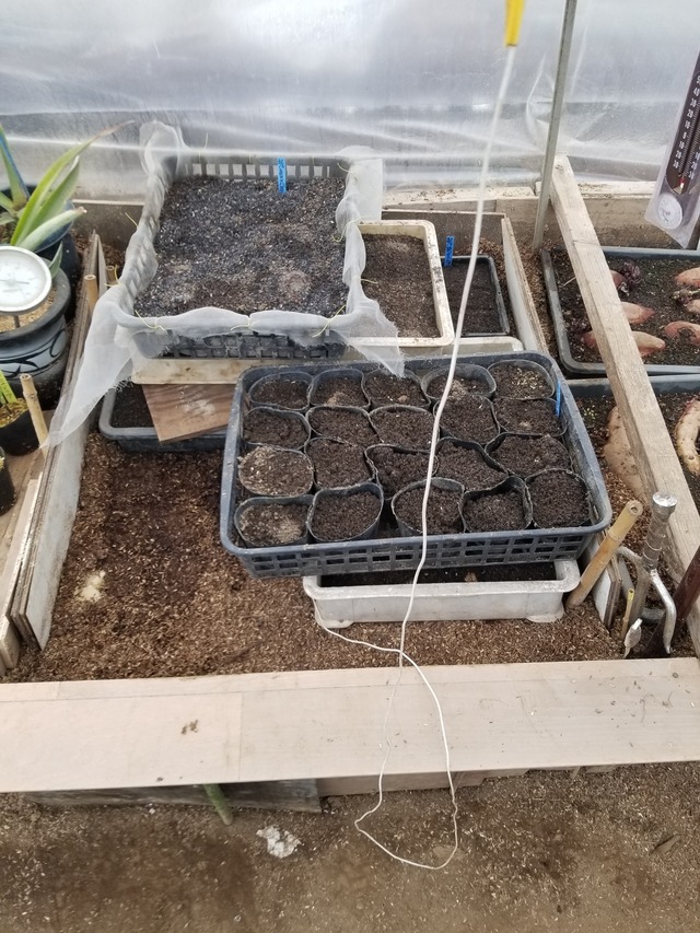 20240308_091909_copy_2268x3024