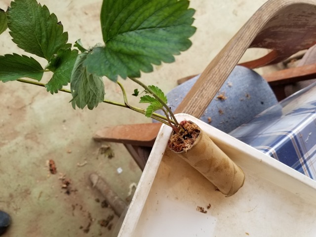 20230821_112347_copy_2016x1512