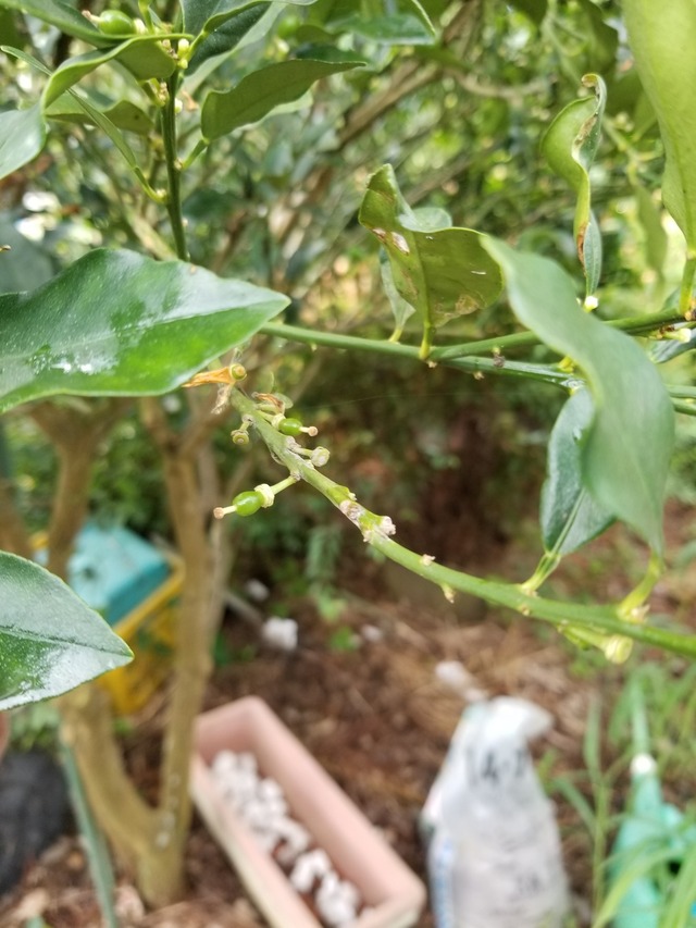 20230823_072711_copy_1512x2016