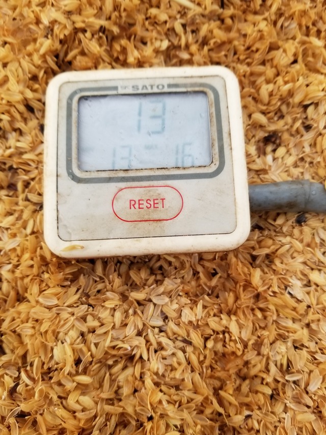 20210105_075215_copy_2268x3024