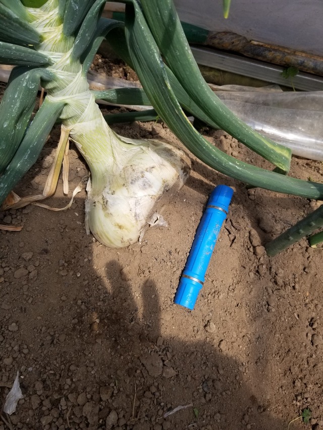 20240322_112213_copy_2268x3024