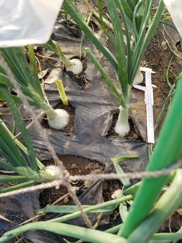 20231210_145315_copy_1512x2016