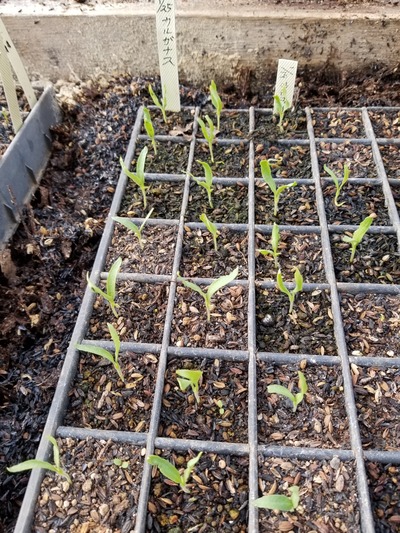 20200220_082607-2268x3024