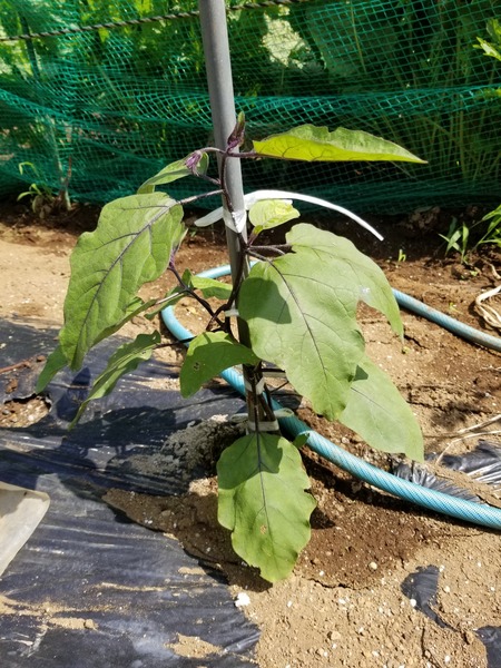 20190710_091104-1620x2160