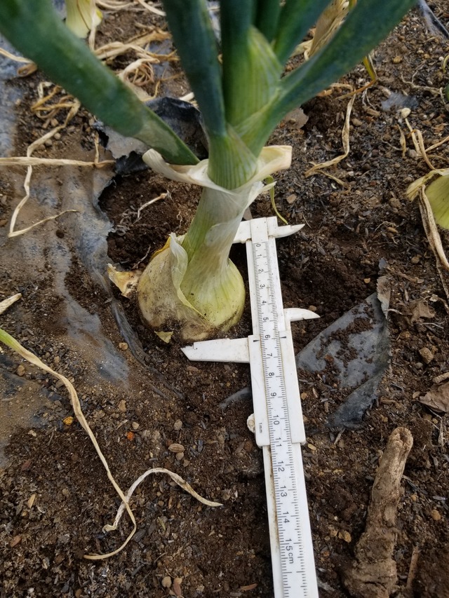 20240209_103437_copy_2268x3024