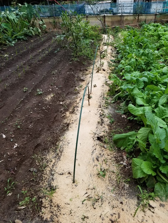 20191019_145632-1620x2160