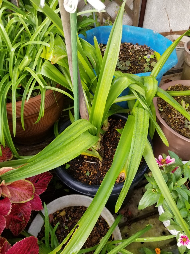 20201002_071532_copy_2268x3024