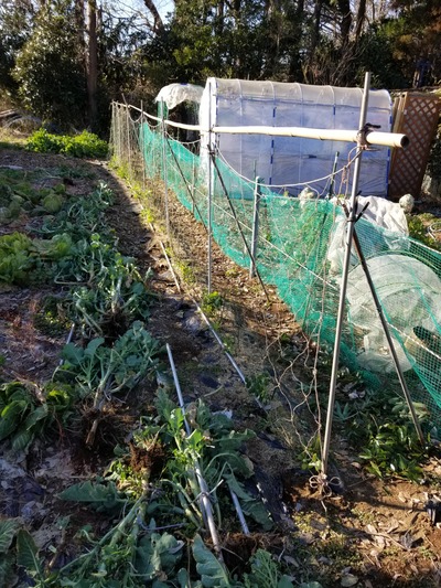 20200209_151312-2268x3024