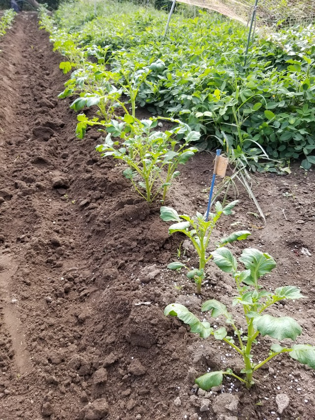 20210917_083454_copy_2268x3024