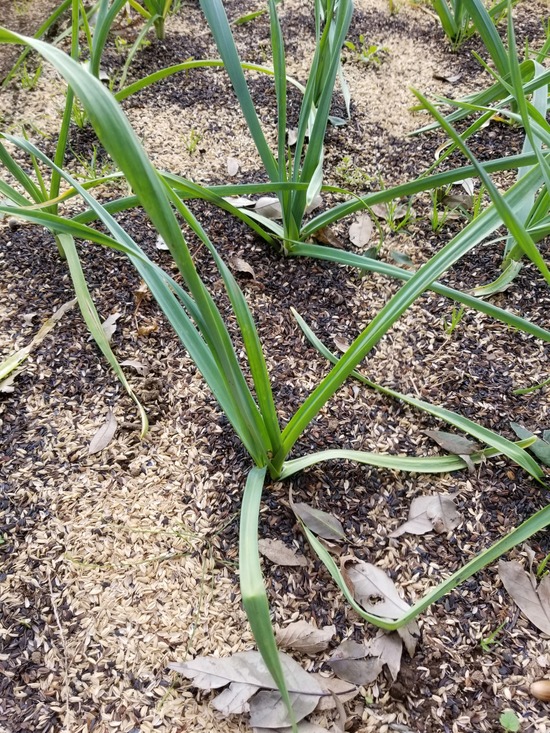 20191113_090610-1620x2160