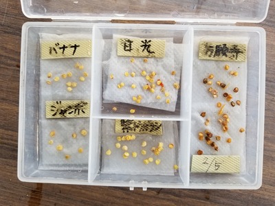 20200205_084857-3024x2268