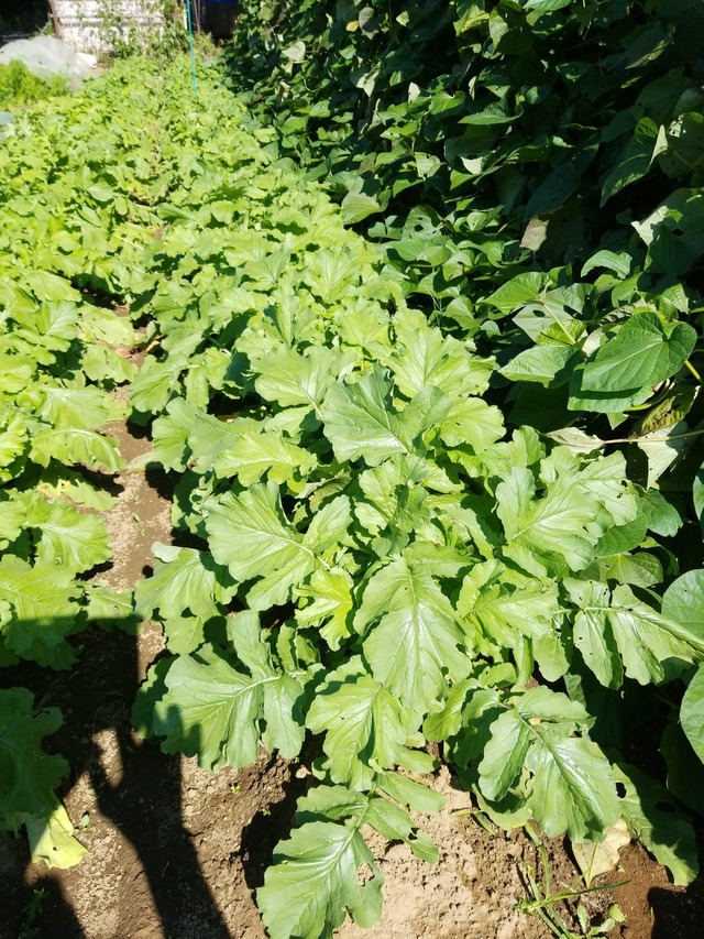 IMG_20231021_102233_copy_1512x2016