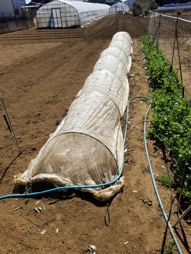 20240322_112416_copy_2268x3024