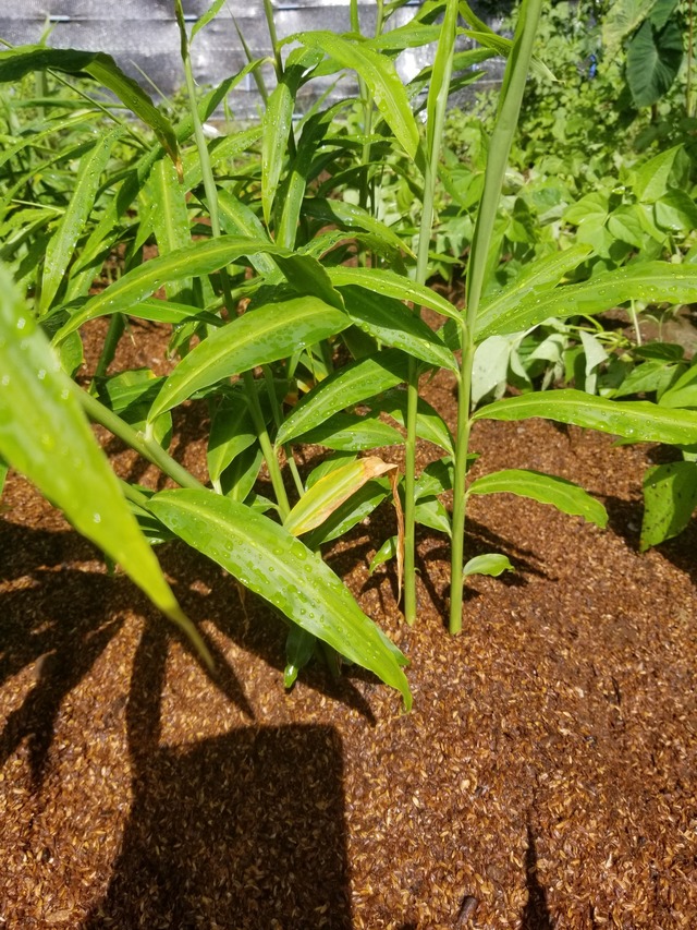 20230819_091030_copy_1512x2016