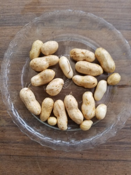 20190822_085138-1620x2160