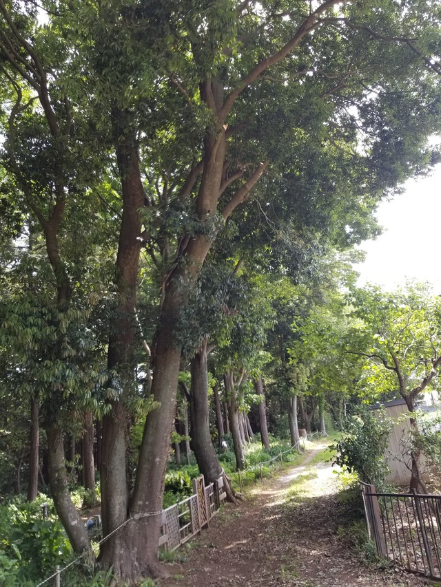 20230527_102053_copy_1512x2016_1