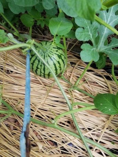 20190627_090354-831x1108