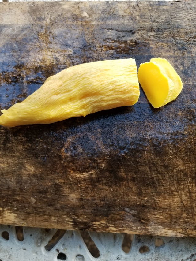 20220218_090210_copy_2268x3024