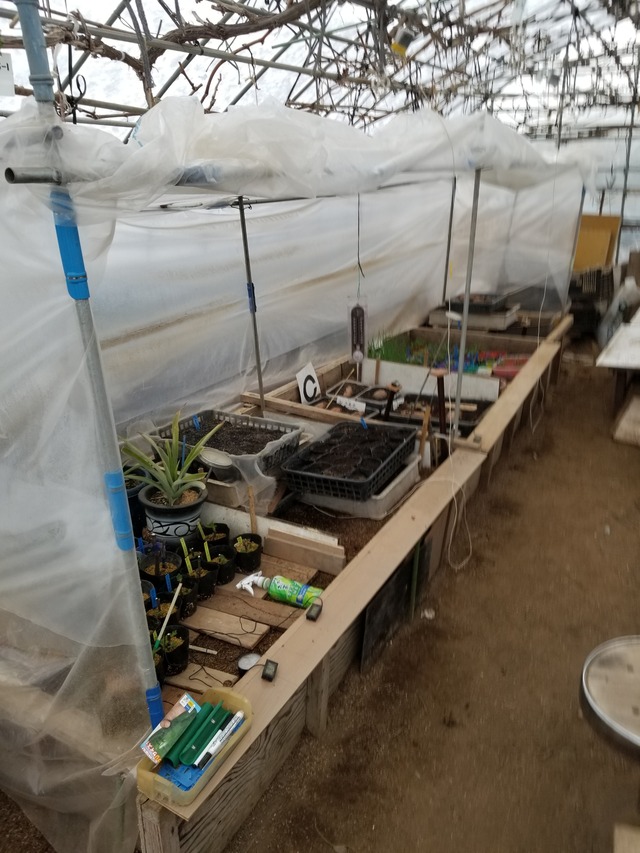 20240308_091830_copy_2268x3024