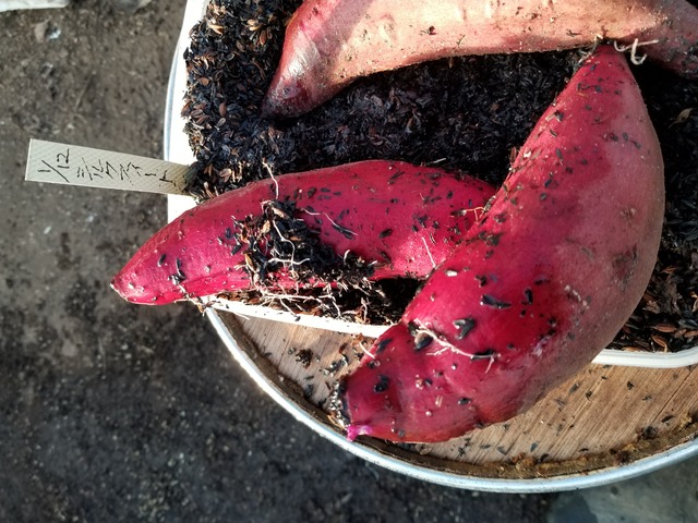 20200223_163724-3024x2268