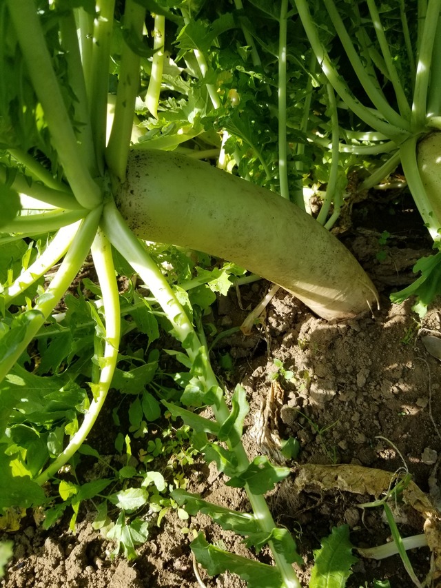 20221107_094030_copy_1512x2016