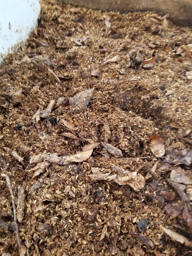 20210105_074949_copy_2268x3024