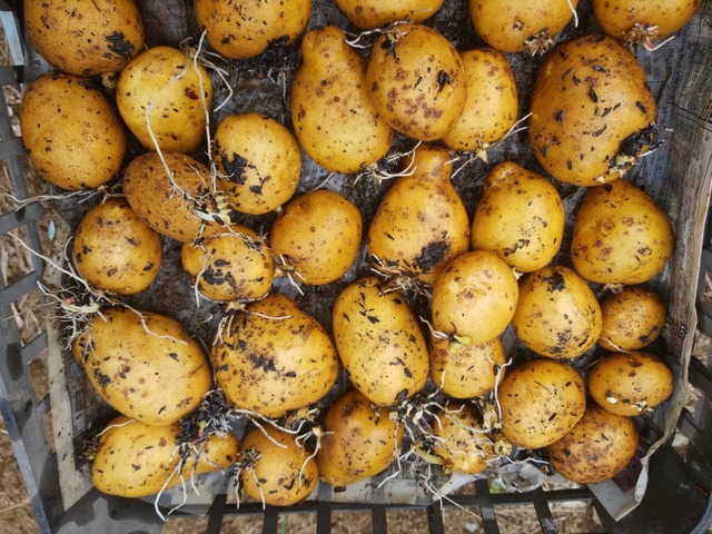 IMG_20230828_095502_copy_2016x1512