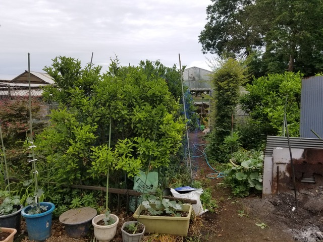 20190603_071319-2160x1620